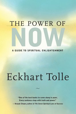 bokomslag The Power of Now
