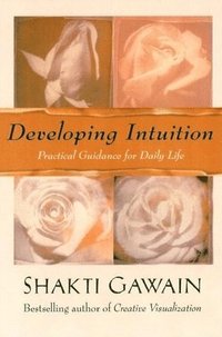 bokomslag Developing Intuition