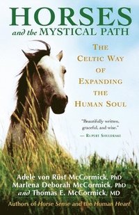 bokomslag Horses and the Mystical Path