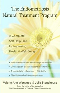 bokomslag Endometriosis Natural Treatment Program