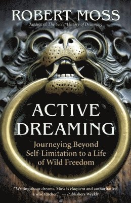 Active Dreaming 1