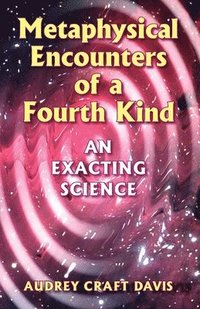bokomslag Metaphysical Encounters of a Fourth Kind