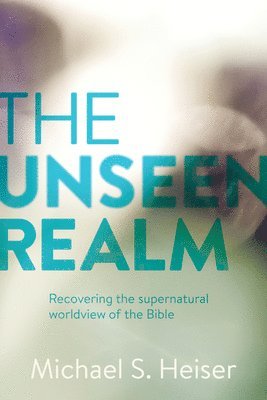 The Unseen Realm 1
