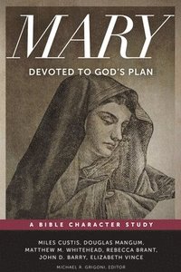bokomslag Devoted to God?s Plan