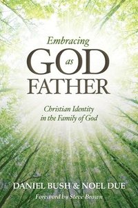 bokomslag Christian Identity in the Family of God