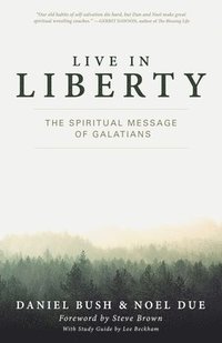 bokomslag Spiritual Message of Galatians