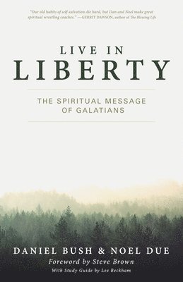 bokomslag Spiritual Message of Galatians