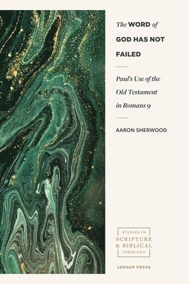 bokomslag Paul?s Use of the Old Testament in Romans 9
