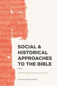 bokomslag Social & Historical Approaches to the Bible