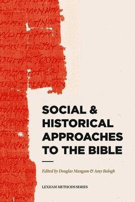 Douglas Mangum, Douglas Mangum, Amy Balogh - Social & Historical Approaches to the Bible, Häftad