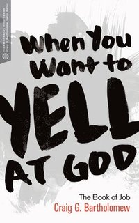 bokomslag When You Want to Yell at God