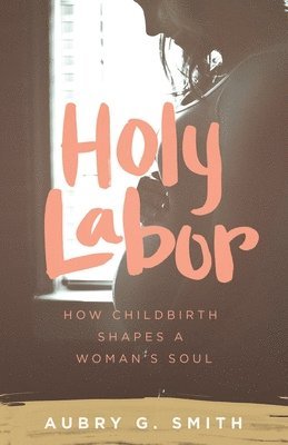 bokomslag Holy Labor