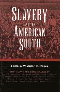 bokomslag Slavery and the American South
