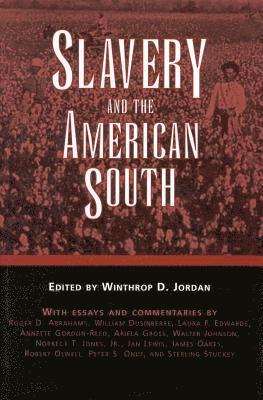 bokomslag Slavery and the American South