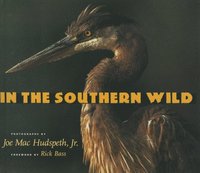 bokomslag In the Southern Wild