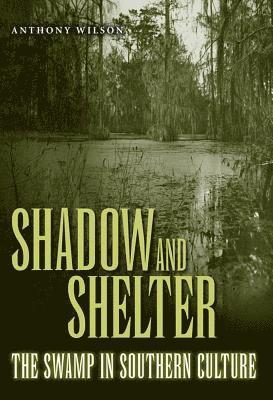 Shadow and Shelter 1