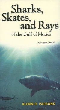 bokomslag Sharks, Skates, and Rays of the Gulf of Mexico
