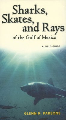 Sharks, Skates, and Rays of the Gulf of Mexico 1