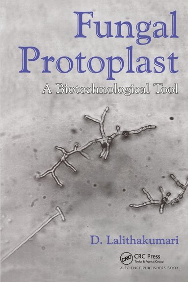 bokomslag Fungal Protoplast