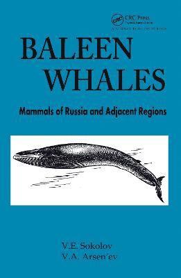 Baleen Whales 1