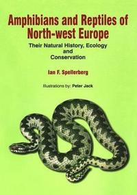 bokomslag Amphibians & Reptiles of North-West Europe