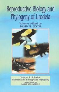 bokomslag Reproductive Biology and Phylogeny of Urodela