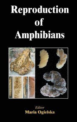 Reproduction of Amphibians 1