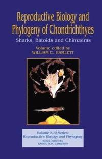 bokomslag Reproductive Biology and Phylogeny of Chondrichthyes