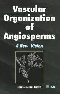bokomslag Vascular Organization of Angiosperms
