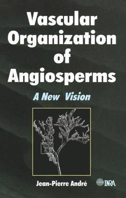 bokomslag Vascular Organization of Angiosperms