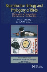 bokomslag Reproductive Biology and Phylogeny of Birds, Part A
