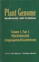 bokomslag Plant Genome: Biodiversity and Evolution Vol. 1, Part C