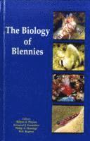 bokomslag The Biology of Blennies