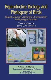 bokomslag Reproductive Biology and Phylogeny of Birds, Part B: Sexual Selection, Behavior, Conservation, Embryology and Genetics