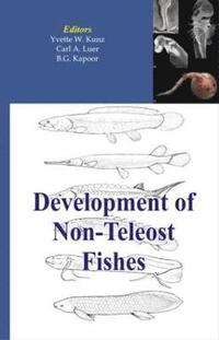 bokomslag Development of Non-teleost Fishes