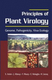 bokomslag Principles of Plant Virology