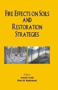 bokomslag Fire Effects on Soils and Restoration Strategies