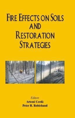 bokomslag Fire Effects on Soils and Restoration Strategies