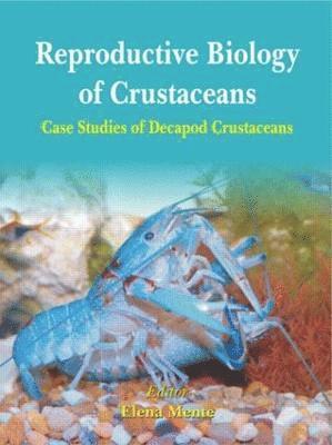 bokomslag Reproductive Biology of Crustaceans