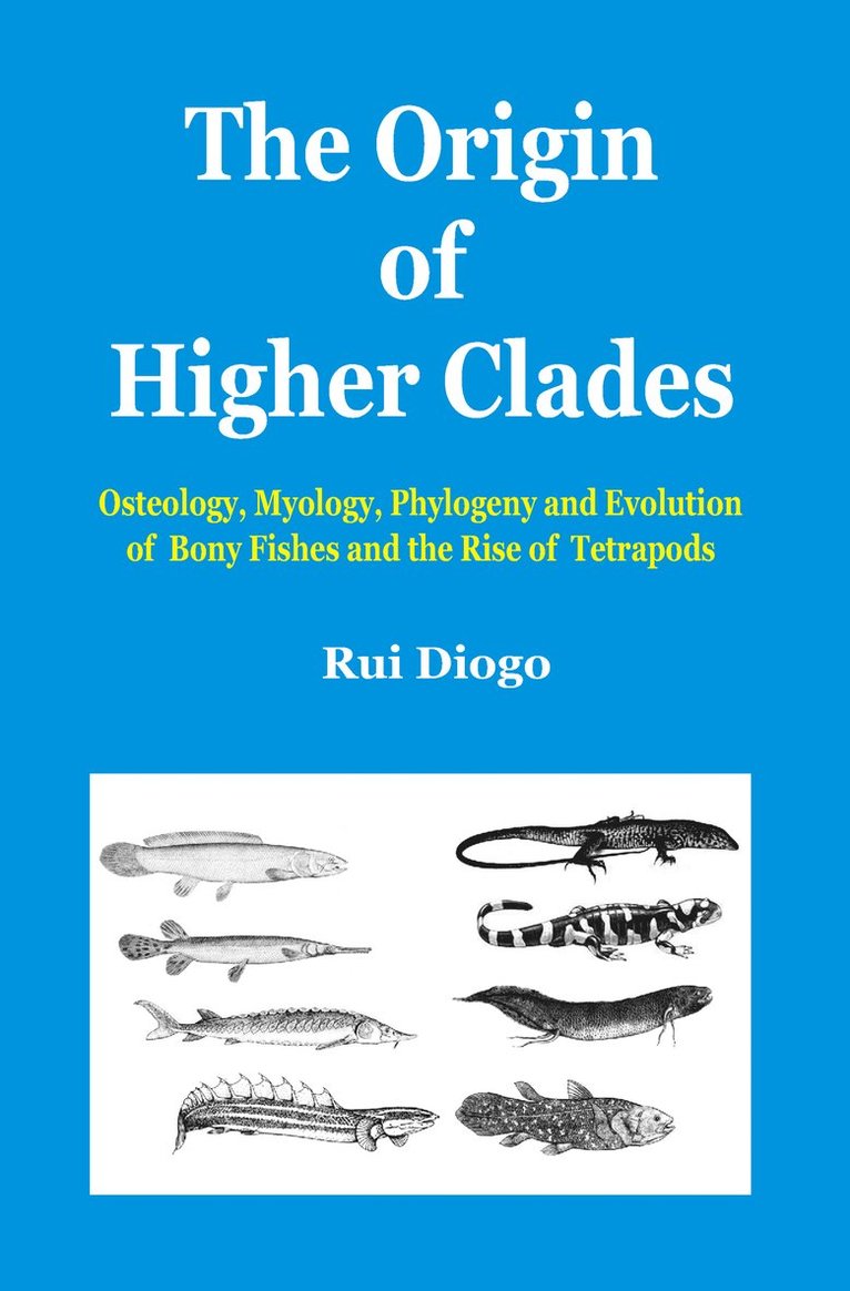 Origin of Higher Clades