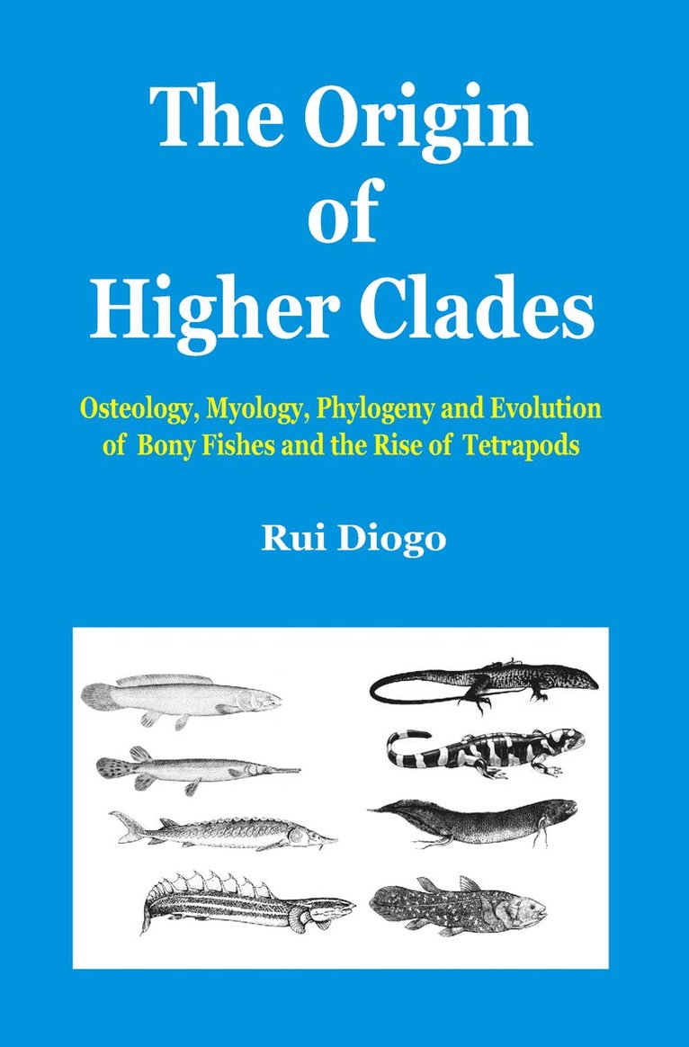 The Origin of Higher Clades 1