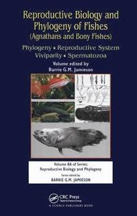 bokomslag Reproductive Biology and Phylogeny of Fishes (Agnathans and Bony Fishes)