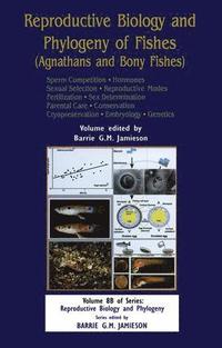 bokomslag Reproductive Biology and Phylogeny of Fishes (Agnathans and Bony Fishes)