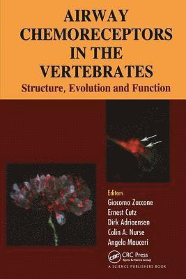 bokomslag Airway Chemoreceptors in Vertebrates