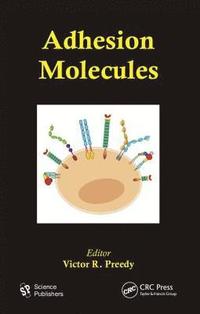 bokomslag Adhesion Molecules