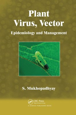 Plant Virus, Vector 1