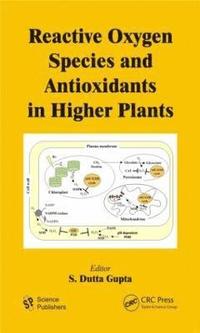 bokomslag Reactive Oxygen Species and Antioxidants in Higher Plants