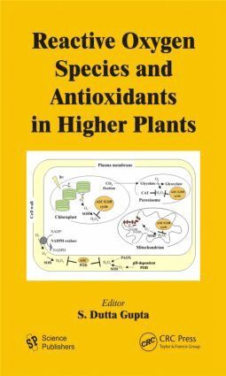 bokomslag Reactive Oxygen Species and Antioxidants in Higher Plants