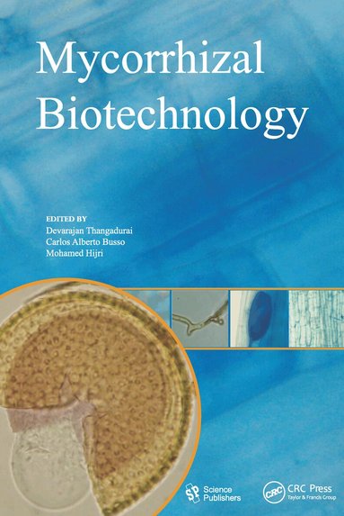 Devarajan Thangadurai, Carlos Alberto Busso, Mohamed Hijri - Mycorrhizal Biotechnology, Inbunden