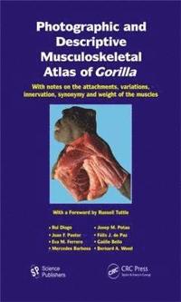 bokomslag Photographic and Descriptive Musculoskeletal Atlas of Gorilla